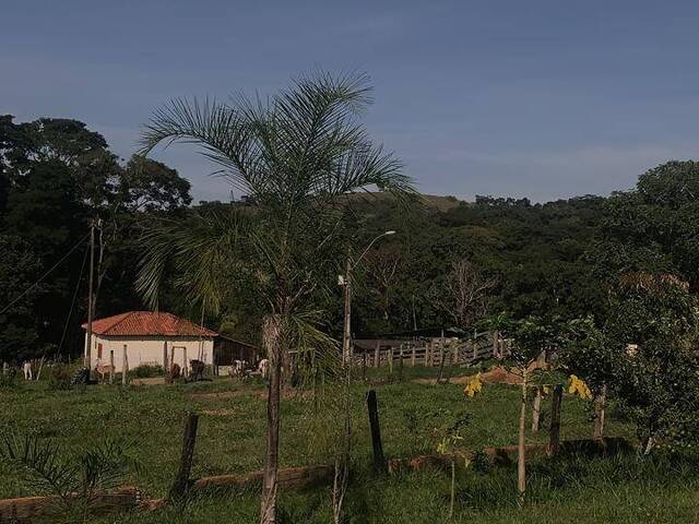 #561 - Fazenda para Venda em Santo Antônio do Descoberto - GO - 2
