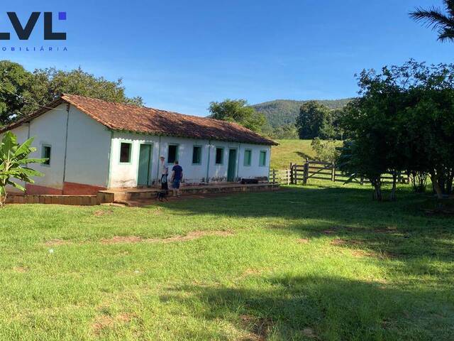 #564 - Sítio para Venda em Pirenópolis - GO - 3