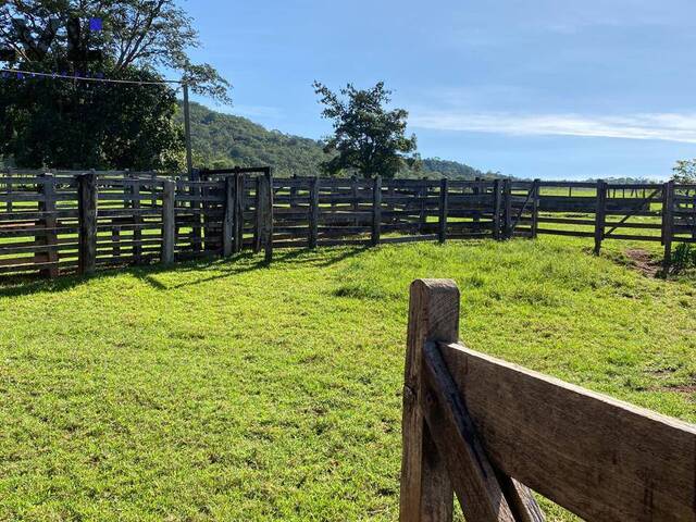 Sítio para Venda em Pirenópolis - 4