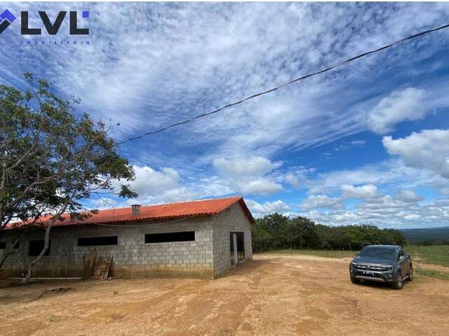 Sítio para Venda em Orizona - 5