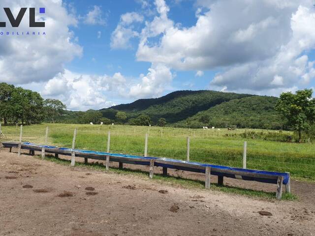 #568 - Fazenda para Venda em Crixás - GO - 3