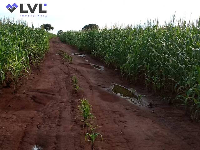 #569 - Fazenda para Venda em Talismã - TO - 2