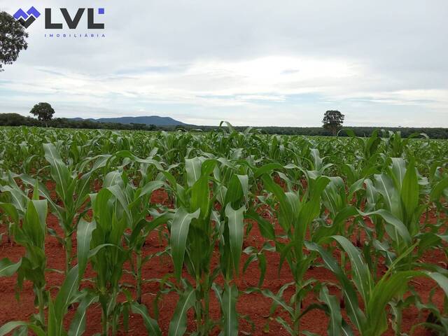 #569 - Fazenda para Venda em Talismã - TO - 3