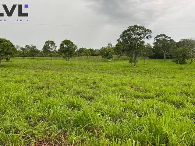 #570 - Fazenda para Venda em Santa Rita do Araguaia - GO - 1
