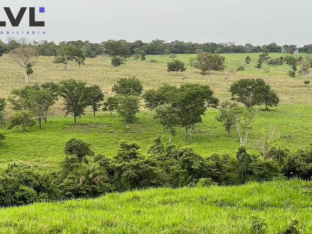 #570 - Fazenda para Venda em Santa Rita do Araguaia - GO - 2