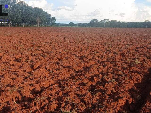 #571 - Fazenda para Venda em Cristalândia - TO - 1