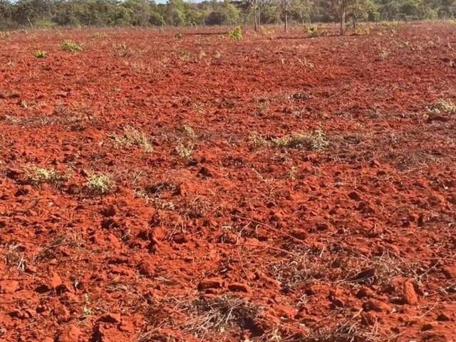 #571 - Fazenda para Venda em Cristalândia - TO - 2
