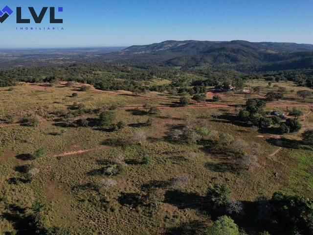 #572 - Fazenda para Venda em Altamira - PA - 1