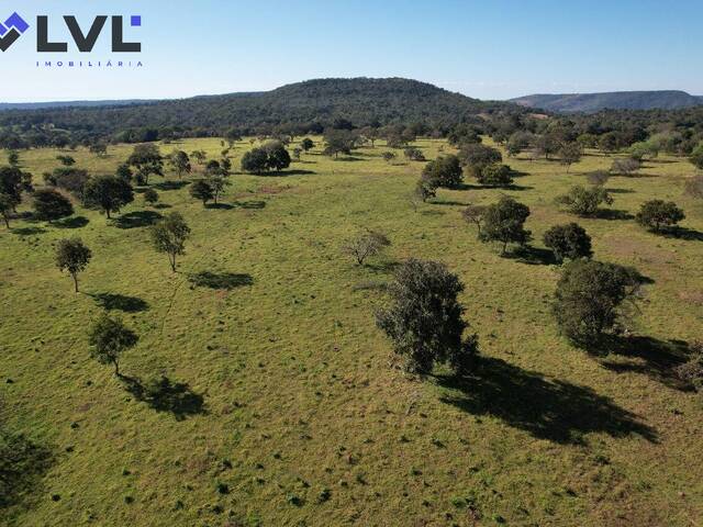 #572 - Fazenda para Venda em Altamira - PA - 2