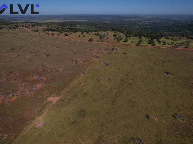 #572 - Fazenda para Venda em Altamira - PA - 3