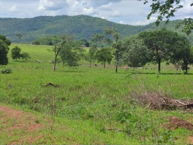#574 - Fazenda para Venda em Novo Brasil - GO - 1