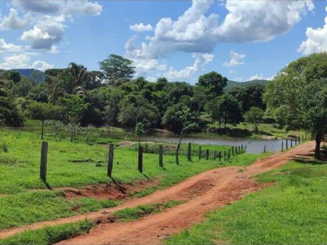 #574 - Fazenda para Venda em Novo Brasil - GO - 2