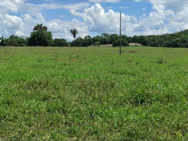 #574 - Fazenda para Venda em Novo Brasil - GO - 3