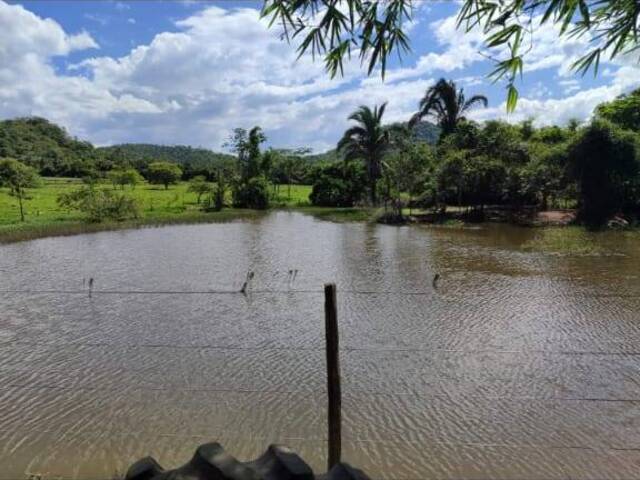 Fazenda para Venda em Novo Brasil - 4