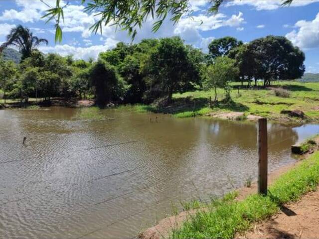 Fazenda para Venda em Novo Brasil - 5