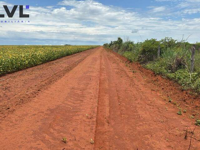 #577 - Fazenda para Venda em Divinópolis do Tocantins - TO - 1