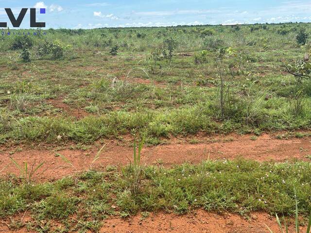 #577 - Fazenda para Venda em Divinópolis do Tocantins - TO - 2