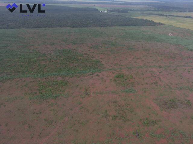 #577 - Fazenda para Venda em Divinópolis do Tocantins - TO - 3