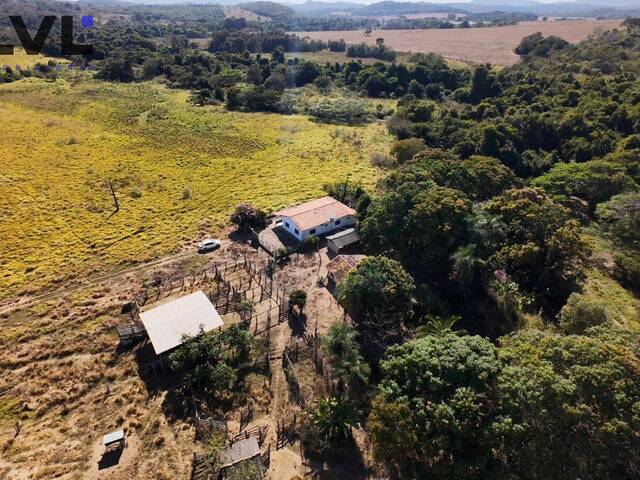 Sítio para Venda em Goiás - 4