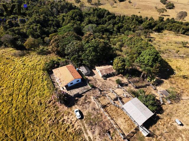 Sítio para Venda em Goiás - 5