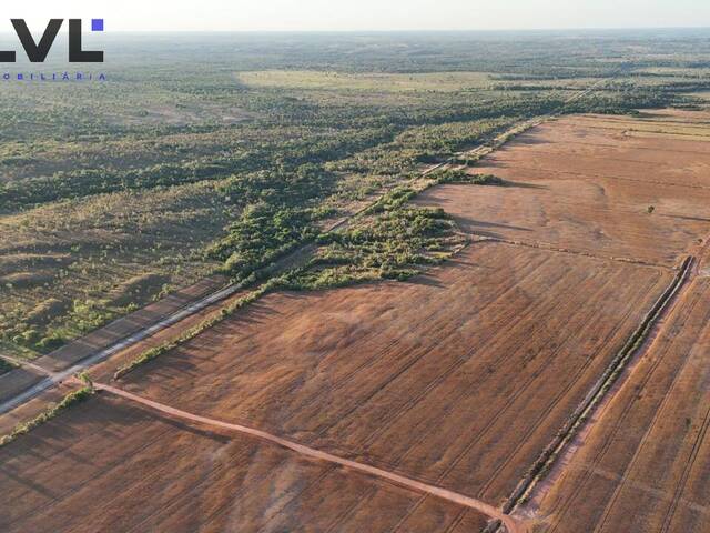 #579 - Fazenda para Venda em Dois Irmãos do Tocantins - TO - 2