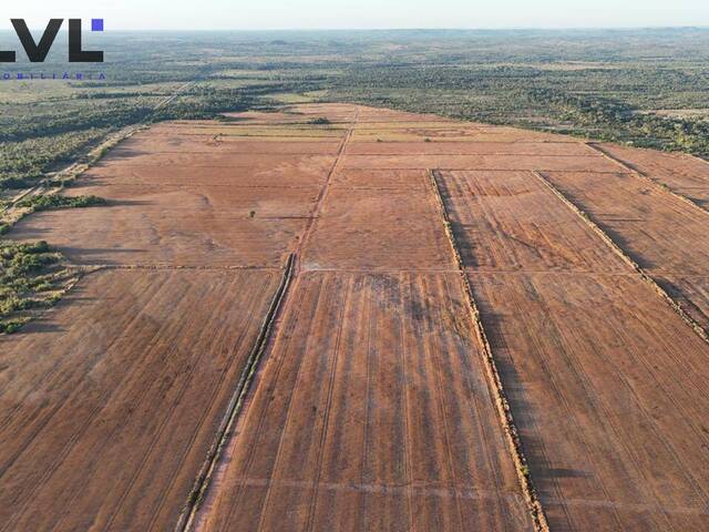 #579 - Fazenda para Venda em Dois Irmãos do Tocantins - TO - 3