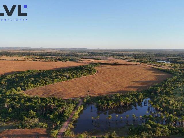 #579 - Fazenda para Venda em Dois Irmãos do Tocantins - TO - 1