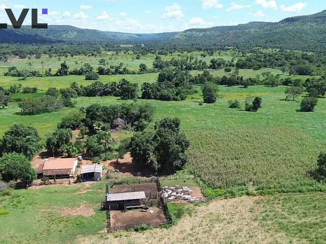 #580 - Fazenda para Venda em Paraíso do Tocantins - TO - 2