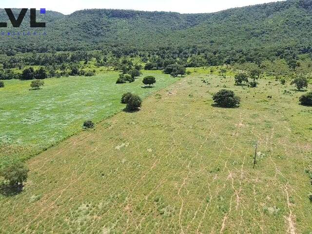 #580 - Fazenda para Venda em Paraíso do Tocantins - TO - 3